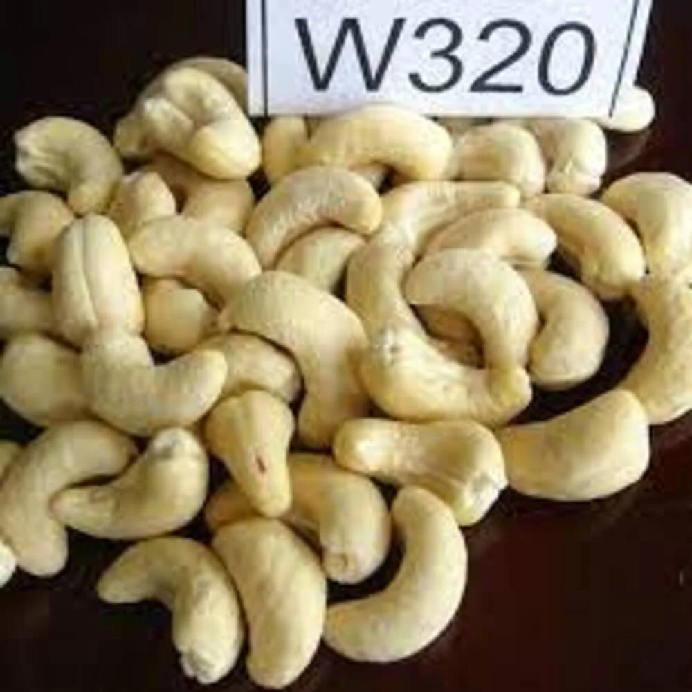 Whole Cashew Nuts W320
