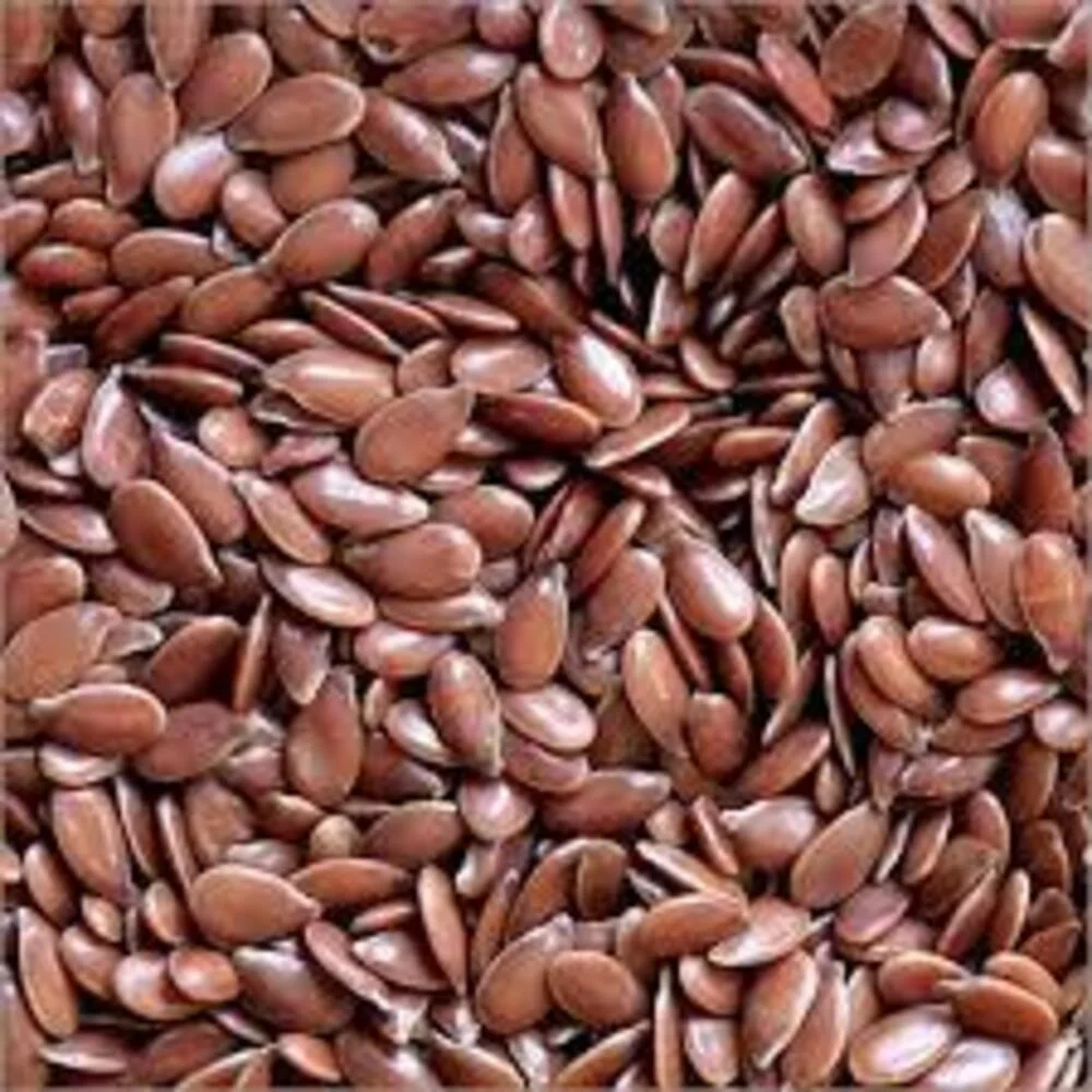 Flax Seeds