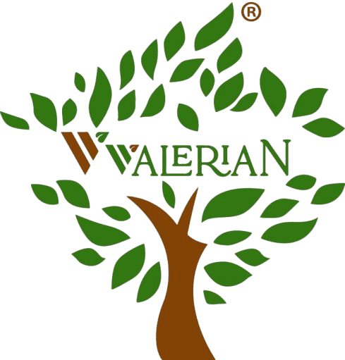 Valerian Logo