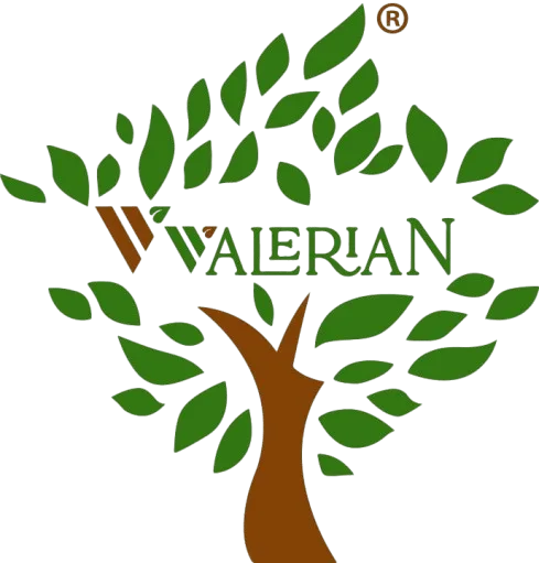 Valerian Logo